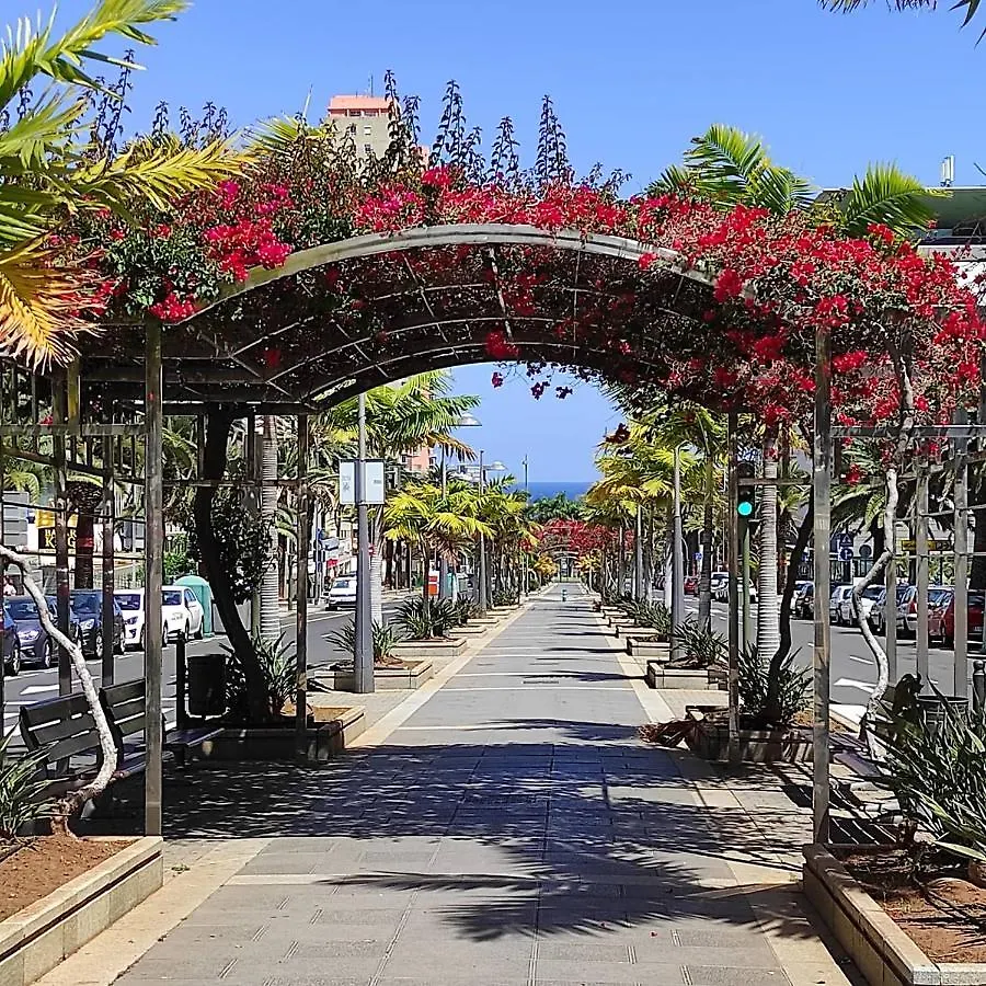 Apartamento Bien Situado - Buenas Conexiones Santa Cruz de Tenerife Lägenhet